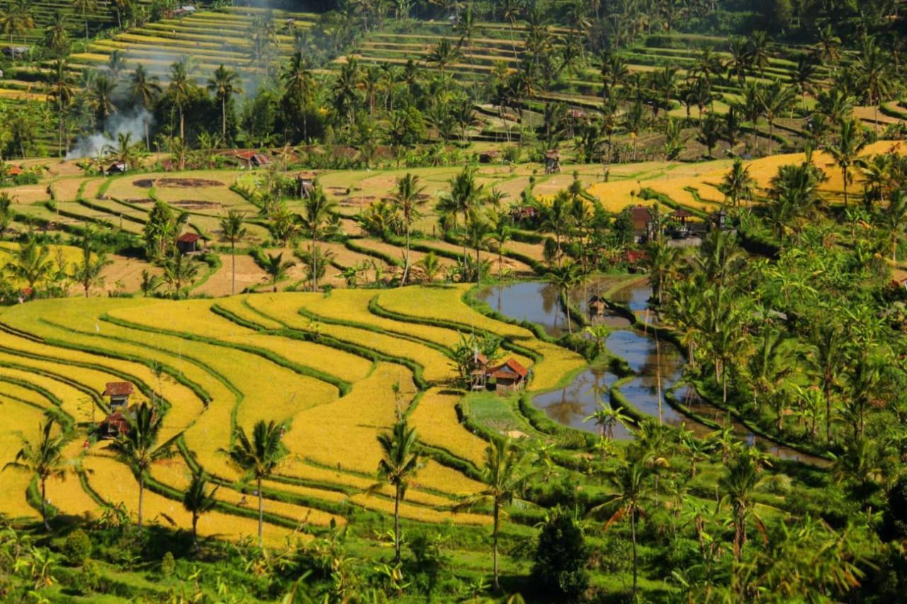 Bali Munduk Delux Bungalow Villa Сингараджа Экстерьер фото