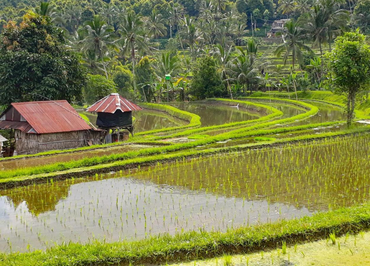 Bali Munduk Delux Bungalow Villa Сингараджа Экстерьер фото