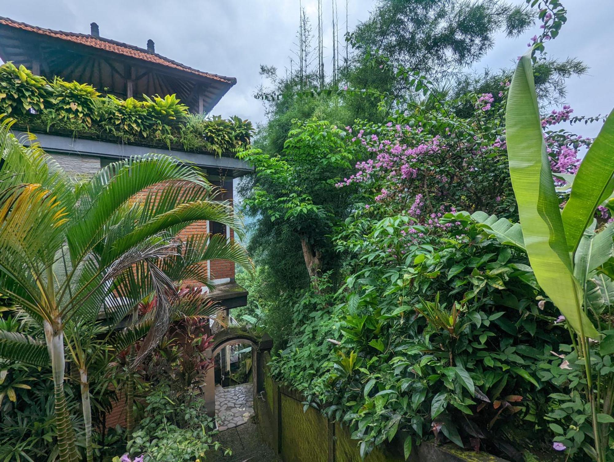 Bali Munduk Delux Bungalow Villa Сингараджа Экстерьер фото